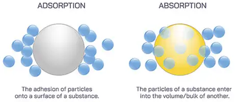 adsorption vs absorption